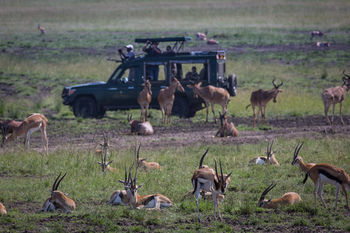 Hotel Elewana Sand River Masai Mara à Réserve nationale du Masai Mara Extérieur photo